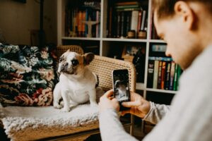 7 Helpful Apps to Have a More Successful Instagram